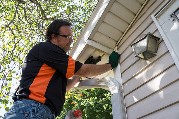 Best Storm Damage Siding Repair  in Vergennes, VT